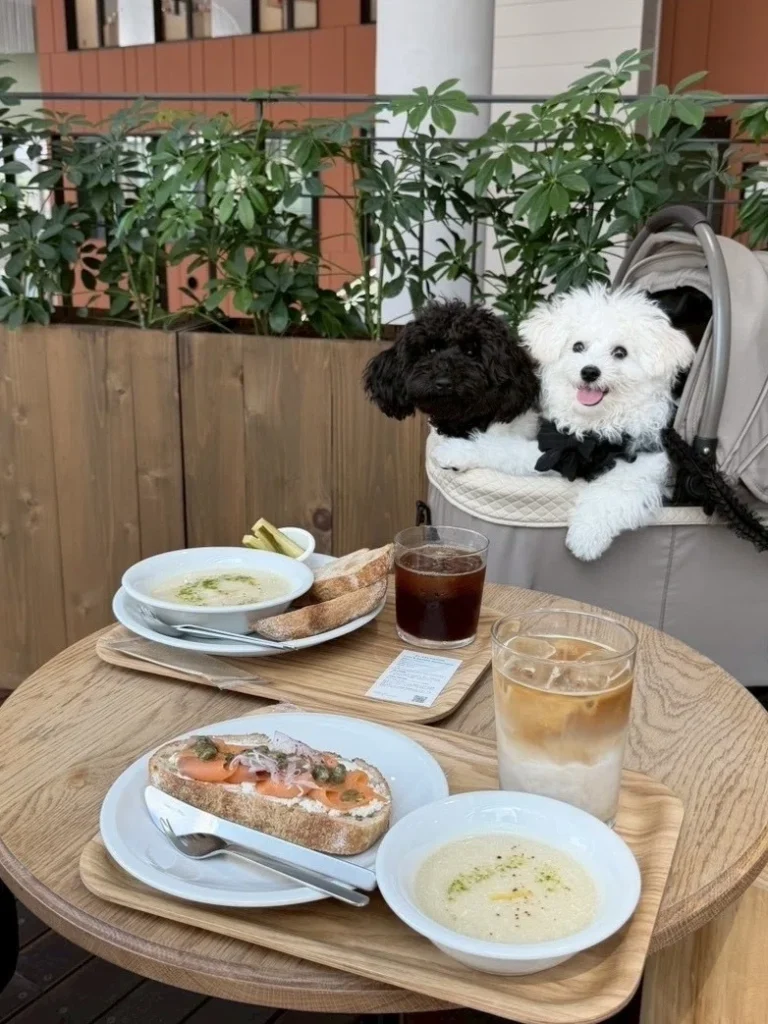 友人と愛犬と念願のお出かけを楽しむ姿
